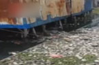20万请环保局长下河游泳