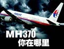 ΪMH370