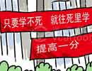 高考励志标语乱象