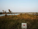һ¥"泡"