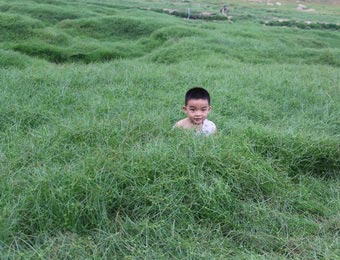 ˮɺ Ұݷ賤䡰ԭ