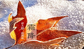 粹˪ ˮ