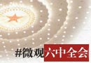 ȫǿ¼ǿ͹淶صǸ쵼غ쵼ɲĶ