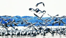 1500ֻϢʪ
