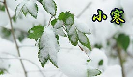 СҪ岹 ݽǿֿ