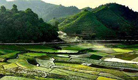 �й���ƶ֮·�����ʸ�Ч��