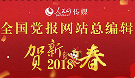 特别策划：全国党报网站总编辑贺新春