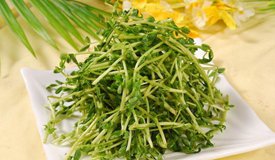 첻ѿ