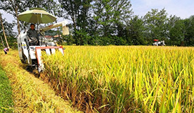 �ҹ�ˮ�������������ȡ���½�չ