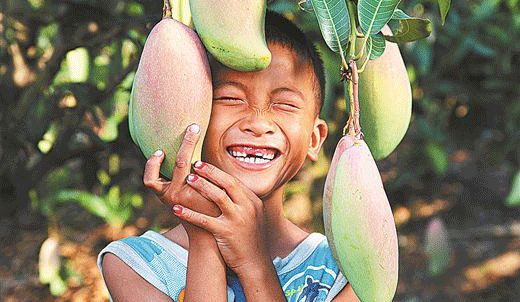 ����ũҵ�����ƽ�ʵʩ������˳ɾ��̵�
