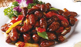 ӼԵӪ