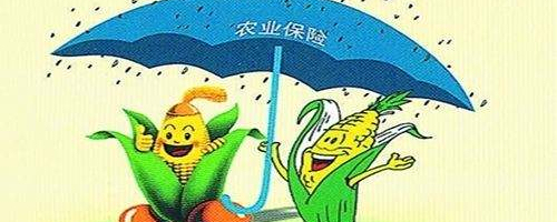涨 "Ե"һǡũҵԵ㡱ǡڻƶԵ㡱Ķ