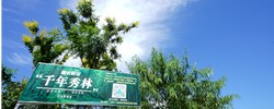 طǧ֣߽۰ֳ"ǧ",Ҫ"ǧ"ʼ,۰չ̽֯Ķ