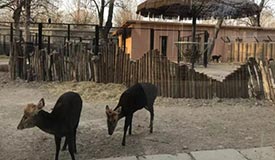 ��������һ���ص㱣������"����"����