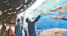 重庆自然博物馆恢复开放