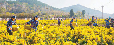 С�ҿ�С��:�ƻ��̾��¸�·����ƶ���¸�����һ·�������ߵ���ʵͦ���ס�ϸ���㣬���봳���С����ء������Ķ���