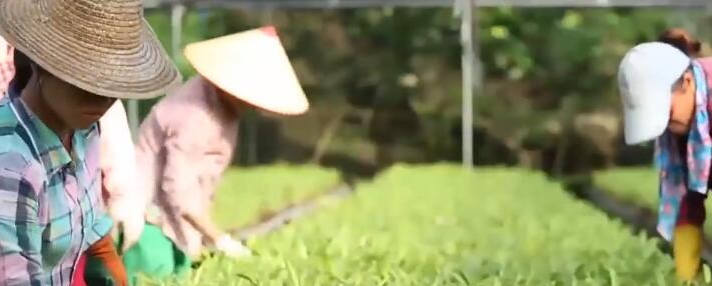 ƶó۽Ŀ꺣Ͻƻ,ոȵǺսȫСʤƶĸɾĶ