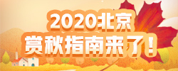 2020ָ!֪Ҷӵѹڡ͵?ָ϶Ϊ!Ķ