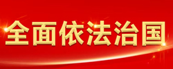 用习近平法治思想引领法治中国建设