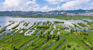 ղݺ续
