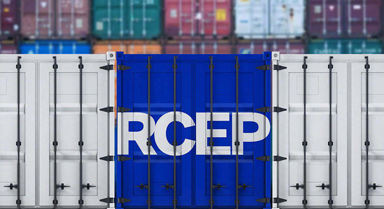 ԪЧ RCEPӰ