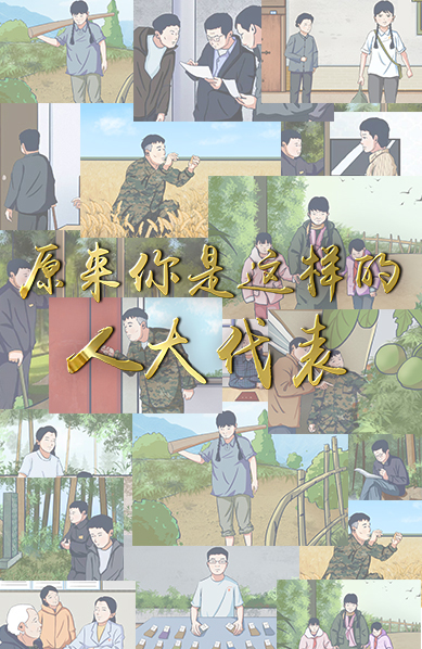 原来你是这样的人大代表