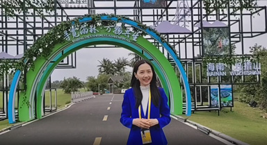 ֱ2022격Ļչ