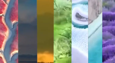 ʺɫй