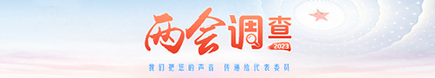 两会调查