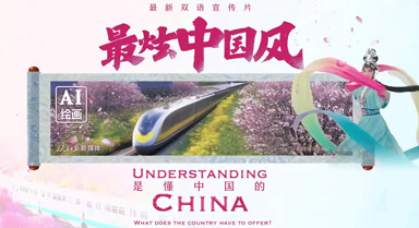 ˫Ƭй硷