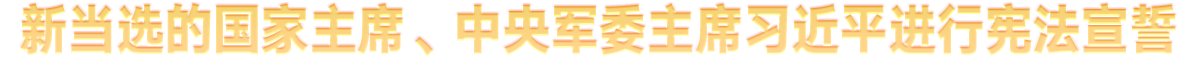 ĺġͳ˧ϰƽ