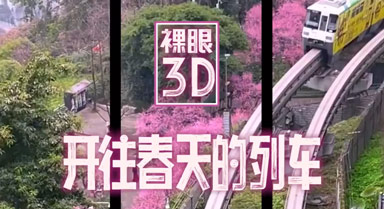 3Dг