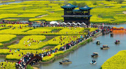 江苏兴化:千垛花海画中游