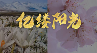 亿缕阳光丨走!赏花去