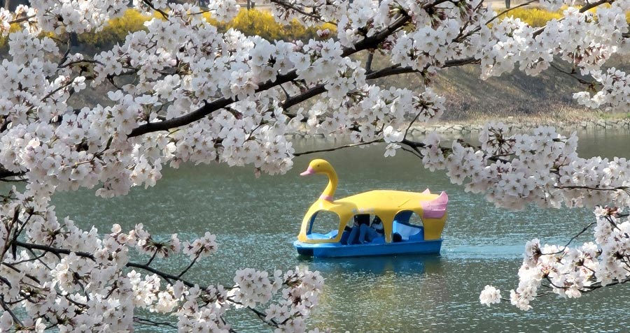 ˴ӣ