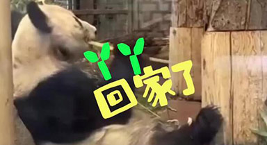 ӭؼңѾѾ桶ؼҵ·