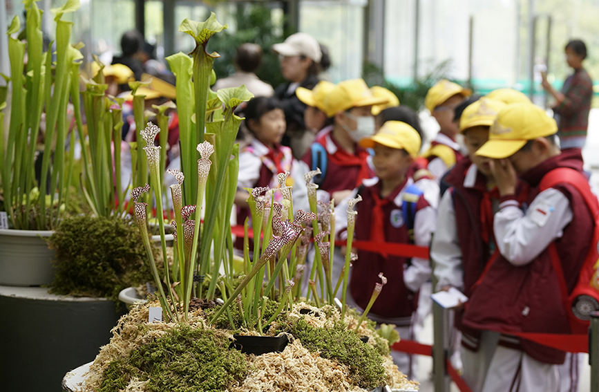 国家植物园已收集珍稀濒危植物近千种