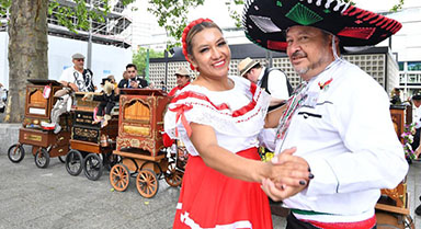 �¹����־�����ҡ����������