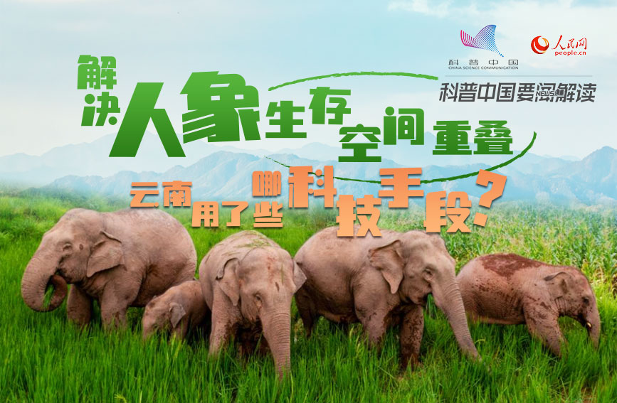 “大国科技”系列 科普中国｜世界大象日：