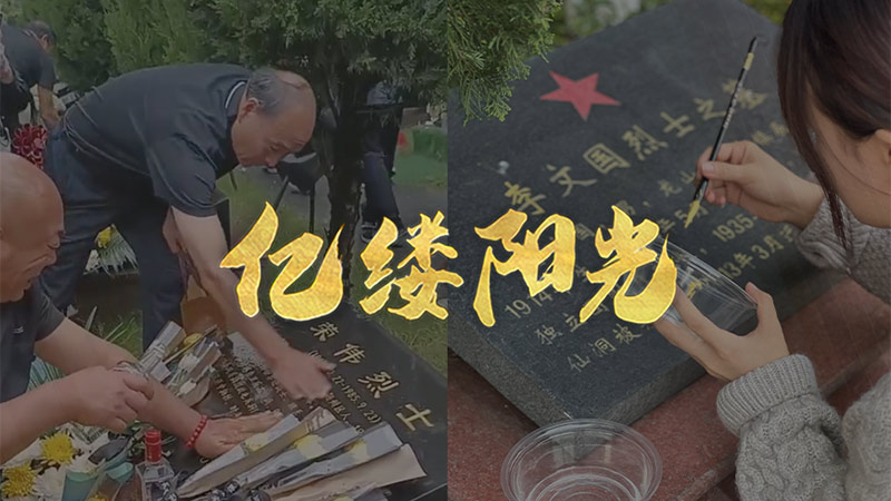 廳ʿ Ӣ