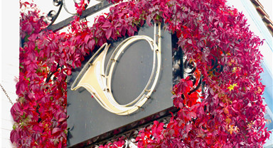 英国伯克郡迎来秋季 爬山虎色彩缤纷