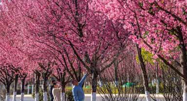 ��������ӣ����