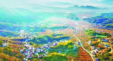 ��̬�� ��ҵ��