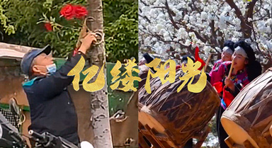亿缕阳光|花有约 春不负