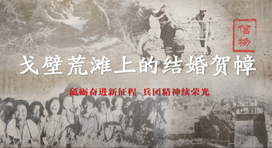 ڻ̲ϵĽ