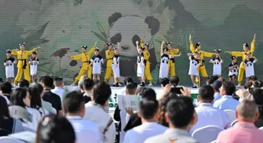2024ȫèᡱٰ