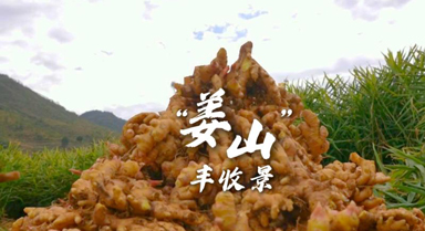 㶫Զɽվ