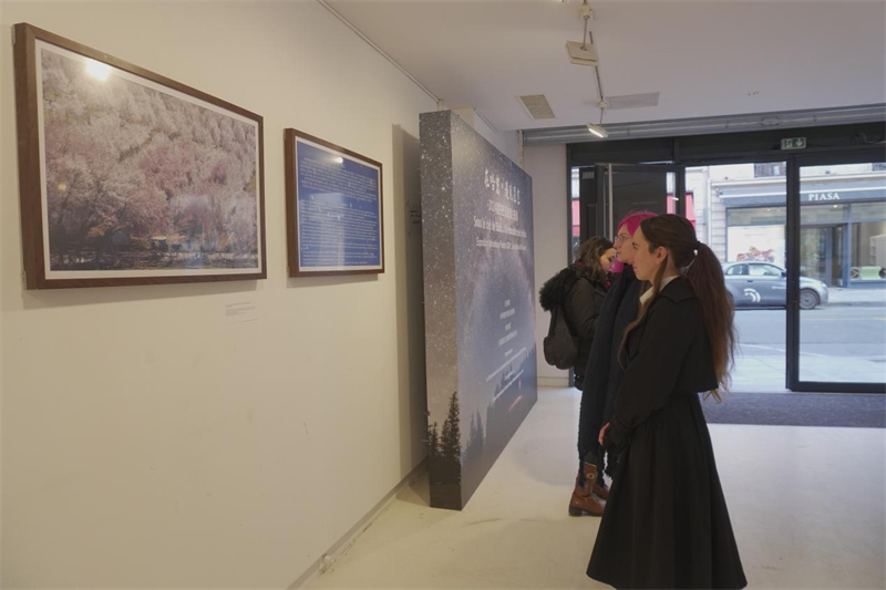 法国观众现场观展(主办方供图) 法国观众现场观展(主办方供图)