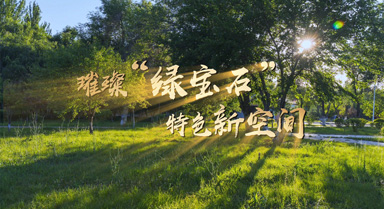 璀璨“绿宝石” 特色新空间