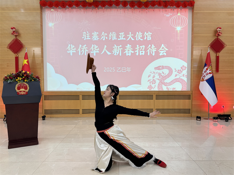 招待会现场表演。诺维萨德孔子学院供图 招待会现场表演。诺维萨德孔子学院供图